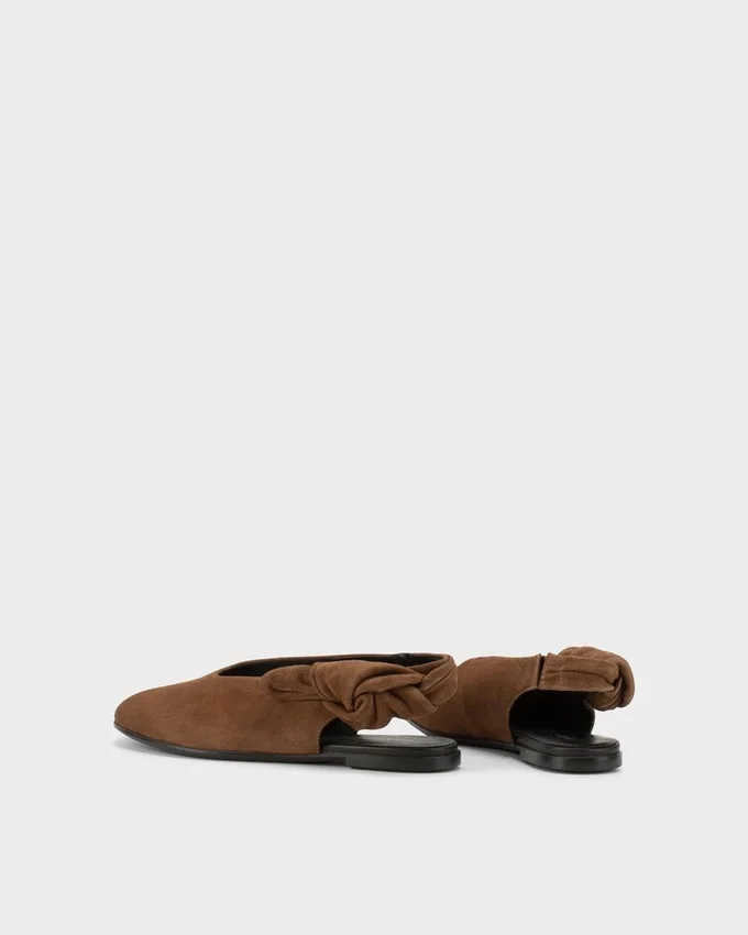Aleya ballerina's
