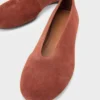 Aleya ballerina's