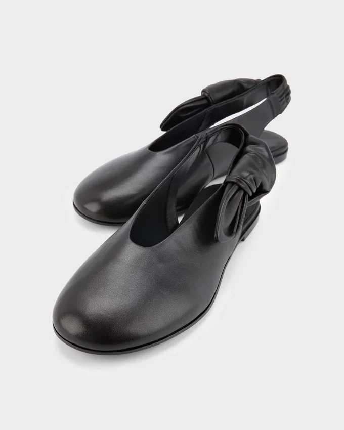 Aleya ballerina's