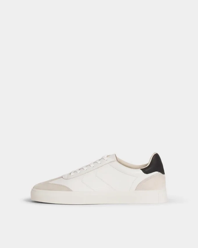 Cody Sneakers