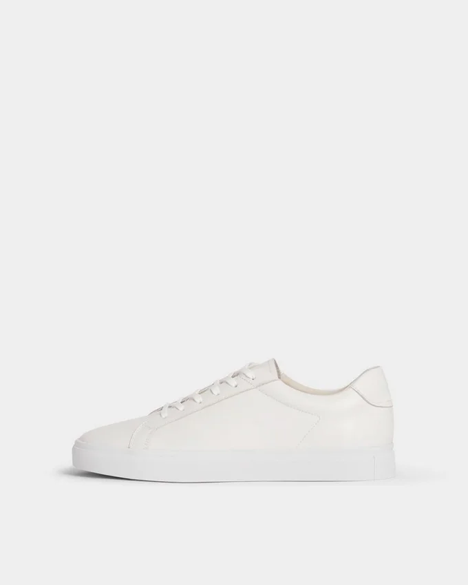 Cody Sneakers