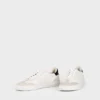 Cody Sneakers