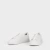 Cody Sneakers