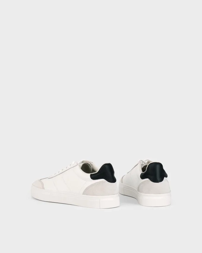 Cody Sneakers