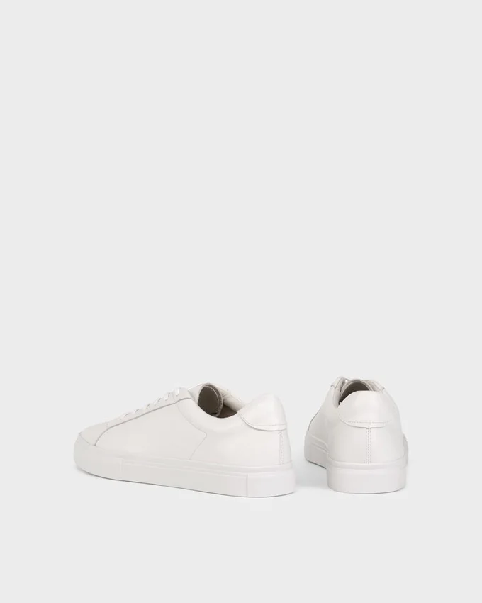 Cody Sneakers