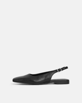 Delia ballerina’s
