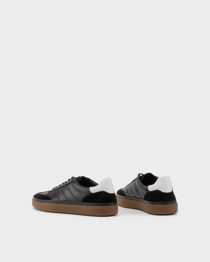 Leo Sneakers